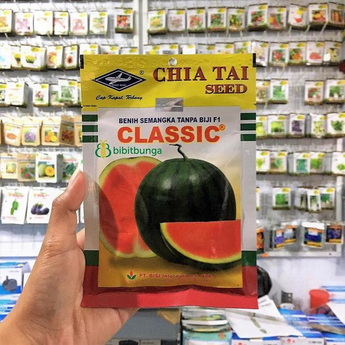 }}}}}}] Benih Bibit Semangka Tanpa Biji CLASSIC F1 20 gram Cap Kapal Terbang