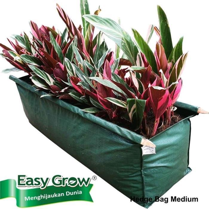 Najwa Gadget Hedge Bag M Easygrow/Hedge Bag Size M