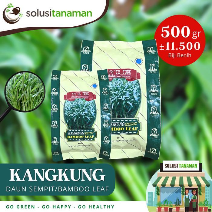 Benih Sayur Sayuran Kangkung Bambu @ 500 gr Benih Hidroponik Organik