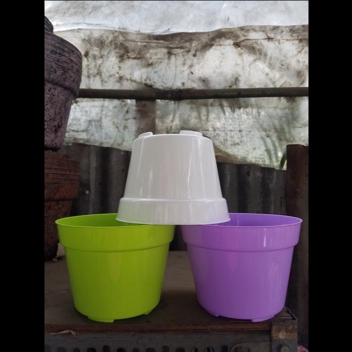 POT BUNGA 20 WARNA -WARNI
