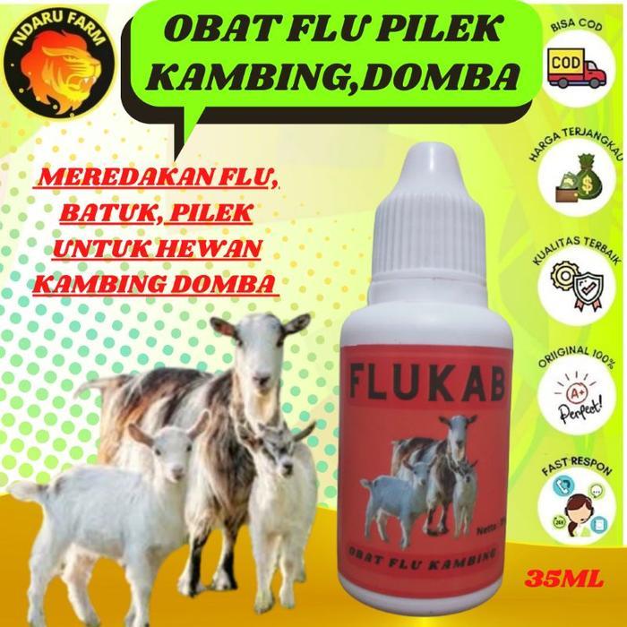 Obat batuk kambing - Obat pilek kambing - Obat Pneumonia Ternak hewan