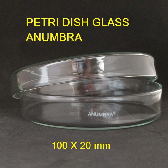 JTTOP" CAWAN PETRI KACA 100X20 MM PETRIDISH PETRI DISH CAWAN KACA ANUMBRA