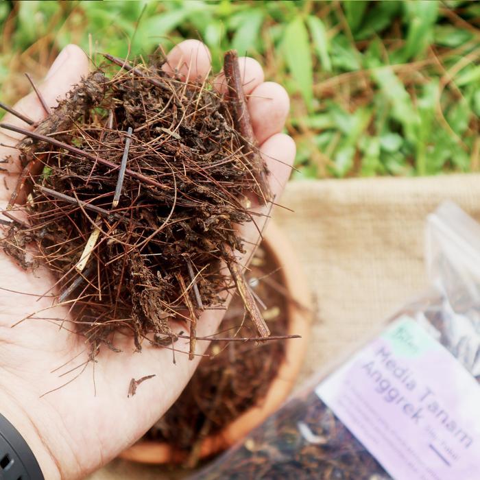 NEWW Media Tanam Anggrek Dendrobium Media Tanam Anggrek Organik Siap Pakai