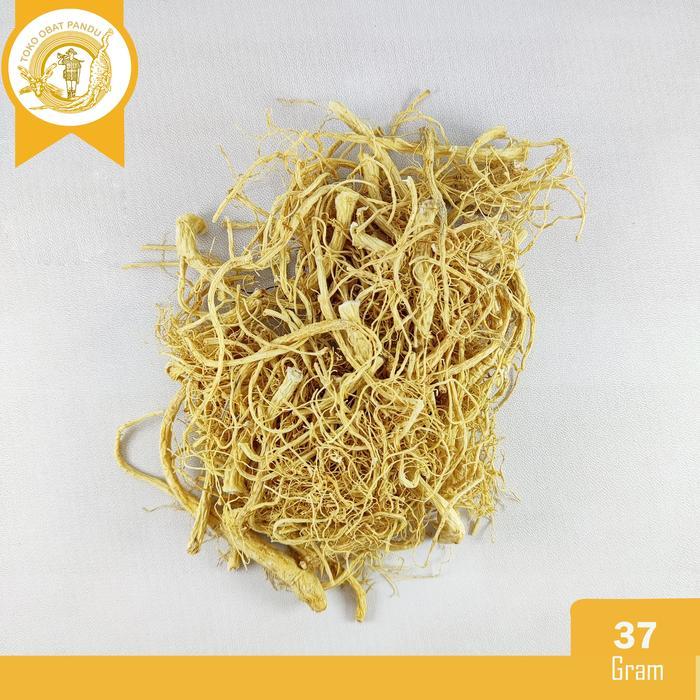 AKAR YOSOM (37 GRAM) / AKAR GINSENG / YANGSHEN / YONGSEM / YANGSEN