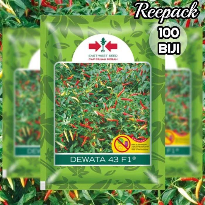 100 Biji Cabai Dewata 43 F1 Bibit Cabai Rawit Dewata 43 F1 Benih Cabai Rawit