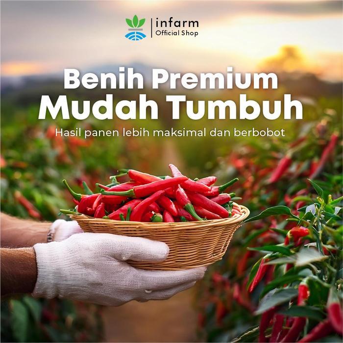 INFARM - BIBIT CABE RAWIT MERAH PEAK CHA BENIH BIBIT CABE RAWIT BENIH CABE RAWIT BIBIT CABAI RAWIT