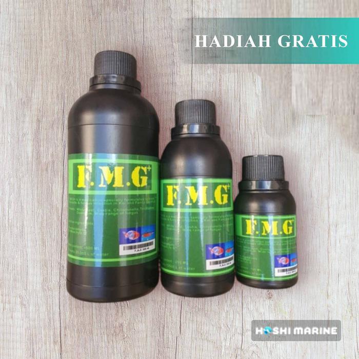 FMG+ OBAT IKAN KOI FLASHING PARASIT JAMUR 100 ML