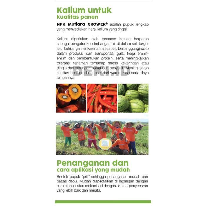 Sale Terlaris Npk Mutiara Grower Meroke 15 09 20 Te 500 Gr Repack Pupuk Bunga Buah
