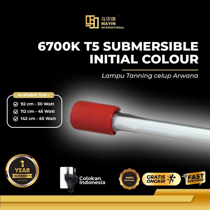 Lampu Tanning Celup T5 MAYIN INTERNATIONAL 6700K Aquarium Ikan Arwana