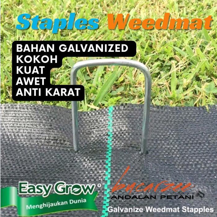 Easy Grow Staples Weedmat dan Rumput Sintetis