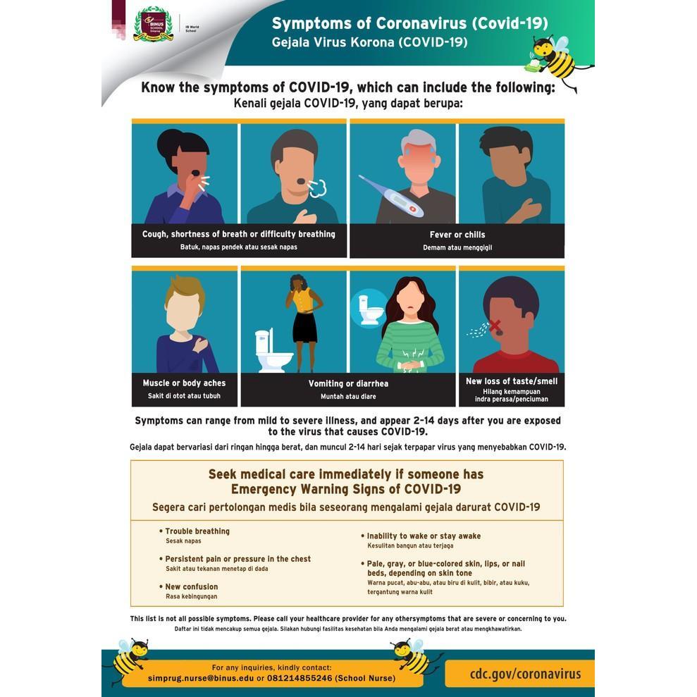 Terlaris Cetak Poster A0 A1 A2 Art Paper / HVS / Art Cartoon Selaras Printing SALE