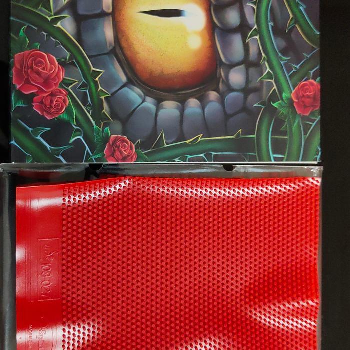 READY Spinlord Dornenglanz III OX ( Long Pips )