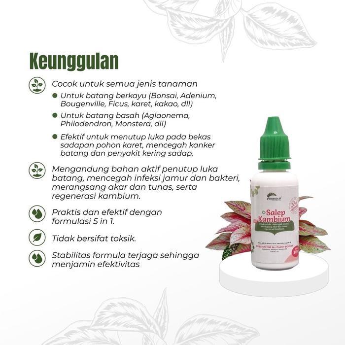 Salep Kambium 30Ml By Planteria Original Salep Kambium Bonsai Penutup Luka Tanaman Plus Fungisida