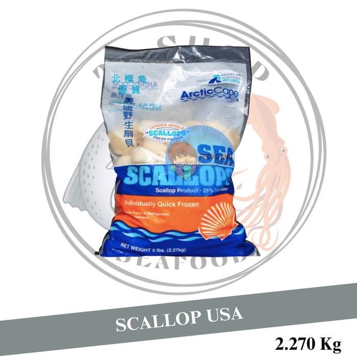 US Scallop Shell Off 2.27KG / 1 pack Kerang Kampak Scallop