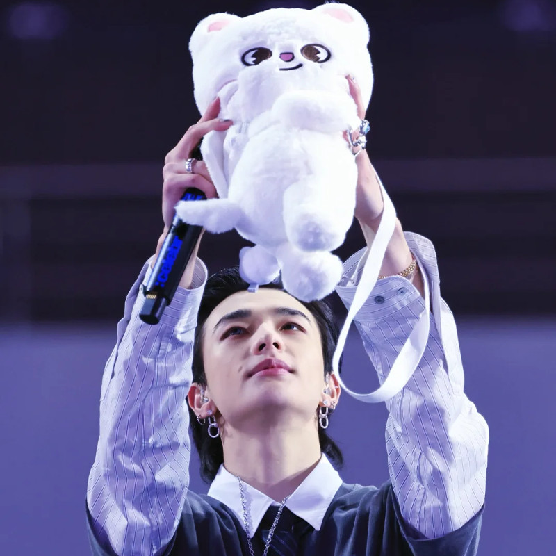 SKZOO Stray Kids Idol Crossbody Plush Doll Bag Cartoon Plush Animal Doll Kawaii Children Adult Fans