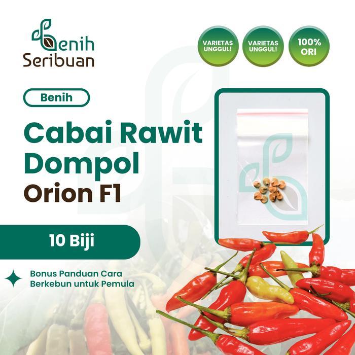 10 Benih Cabe Rawit Dompol ORION F1 Benih Sayuran Cabai Bergerombol