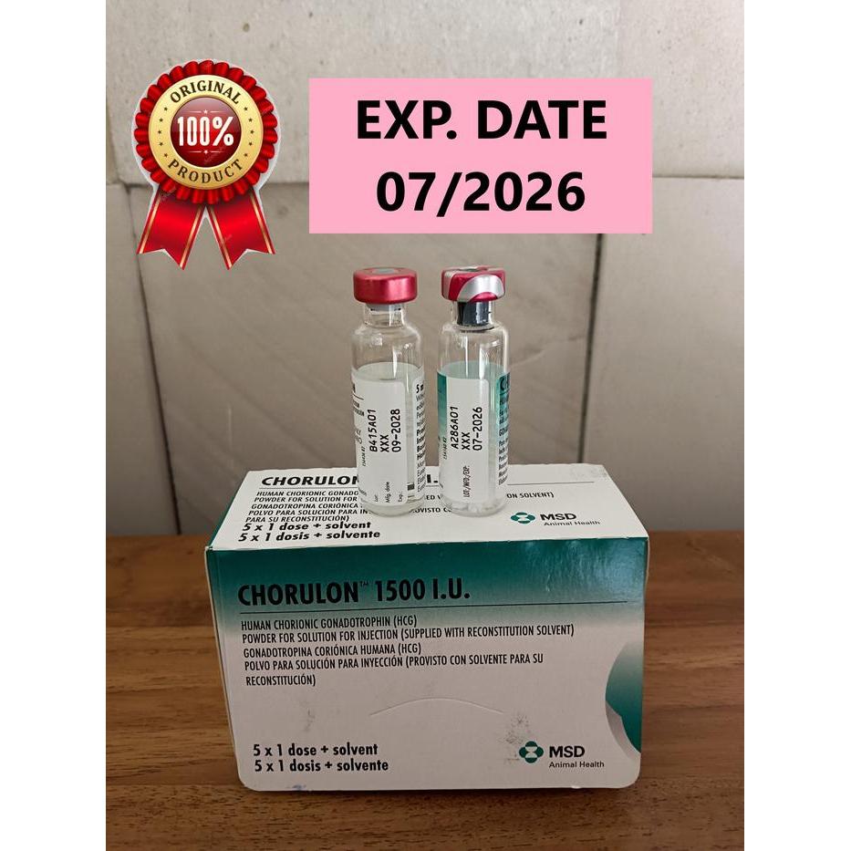 CHORULON 1500 IU HORMON IKAN HORMON CHORULON 1500 IU HORMON UNTUK IKAN HORMON UNTUK IKAN CHORULON