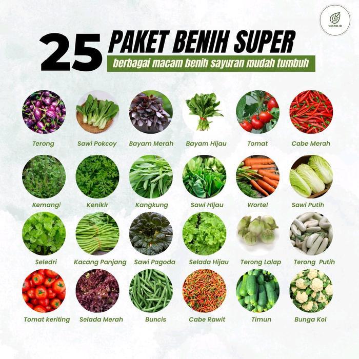 "New" 25 Paket Benih Sayuran Super Paket Benih Sayuran Lengkap Hemat