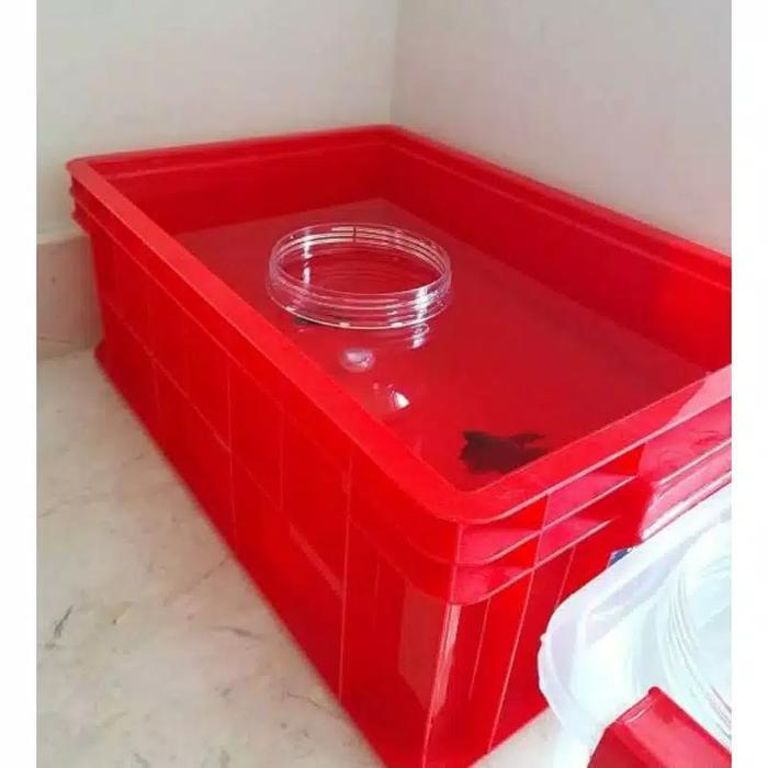 CONTAINER IKAN GREEN LEAF - CONTAINER INDUSTRI