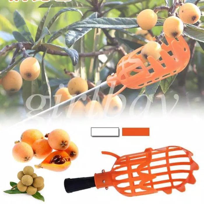 ALAT PEMETIK BUAH / FRUIT PICKER