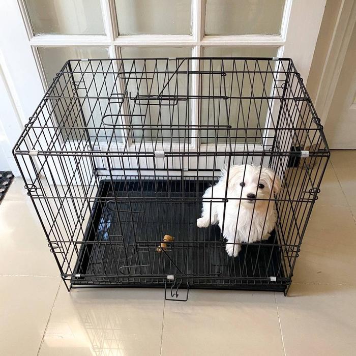 KANDANG JERUJI MEDIUM SEDANG HITAM / KANDANG ANJING / KANDANG KUCING