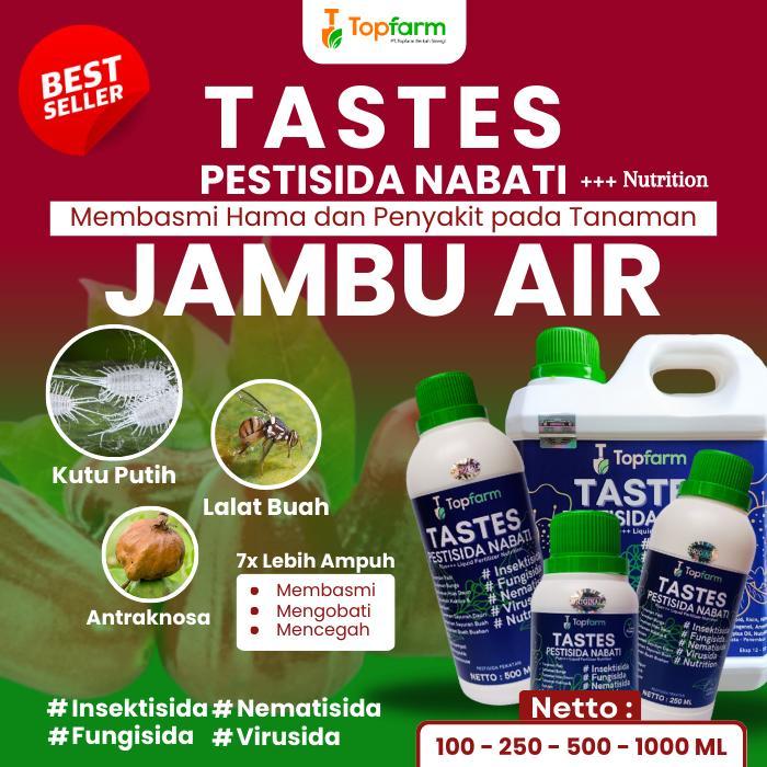 "New" PESTISIDA UNTUK POHON JAMBU AIR / PESTISIDA KHUSUS TANAMAN JAMBU AIR / PESTISIDA BUAH JAMBU