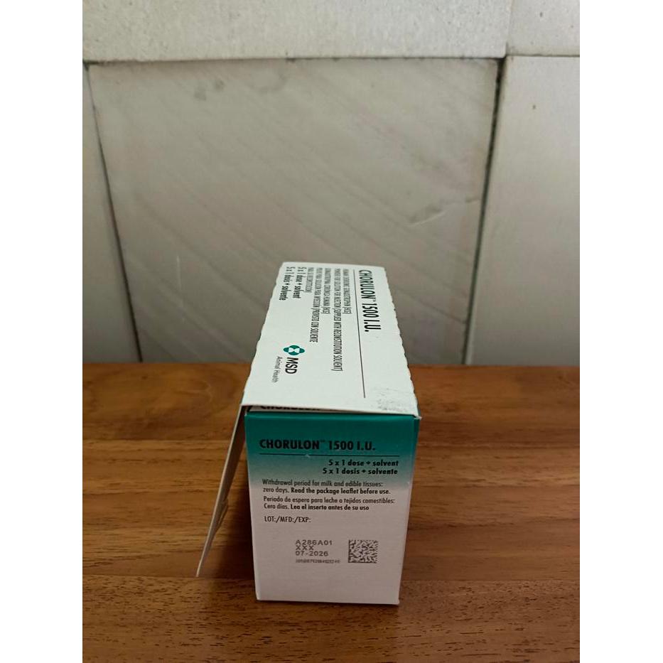 CHORULON 1500 IU HORMON IKAN HORMON CHORULON 1500 IU HORMON UNTUK IKAN HORMON UNTUK IKAN CHORULON
