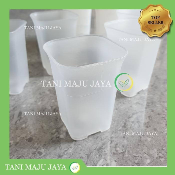 Pot Kotak Bening 5cm Pot Bunga Tanaman Mini Sukulen Anggrek Drosera