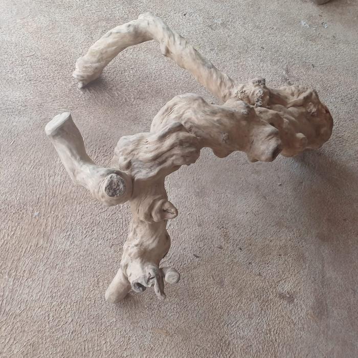 Ready Tangkringan Iguana Super Jumbo Xxl Berkualitas