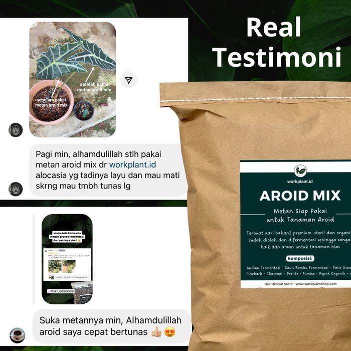 AROID MIX - MEDIA TANAM AROID PREMIUM TANAMAN HIAS MONSTERA PHILO DLL