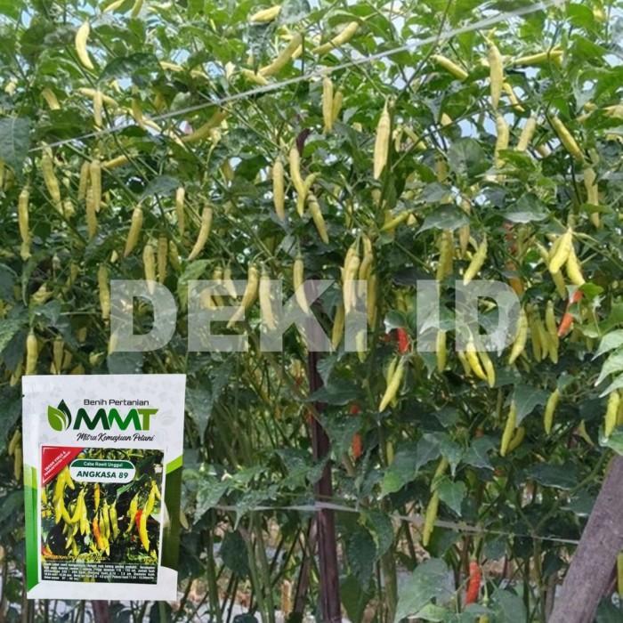 Benih Cabe Rawit Angkasa 10 Gram Bibit Cabai Unggul MMT