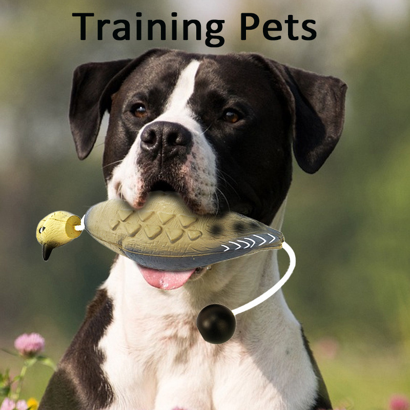 Pet Dog Training Fake Duck Bird Dummy Teaches Waterfowl Game Retrieval Duck Bite Chewing Toys Perfec