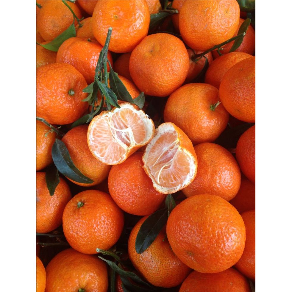 Jeruk Baby Mandarin Santang 1kg/pack