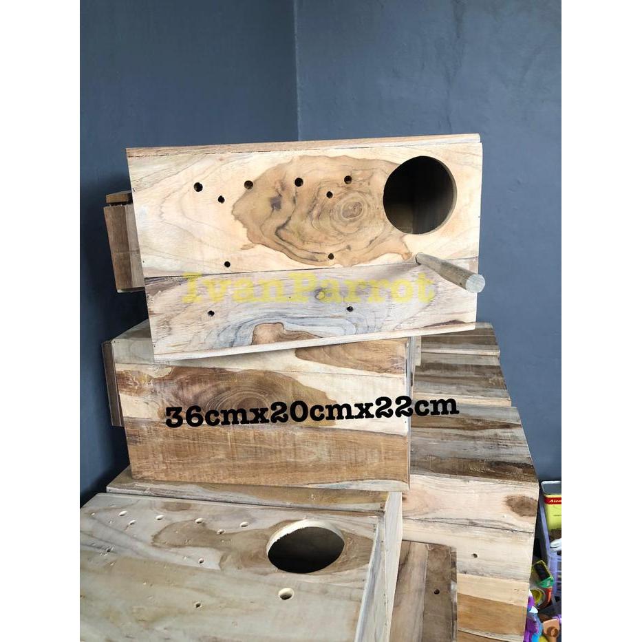 GLODOK KAYU JATI BURUNG PARROT PARKIT FALK