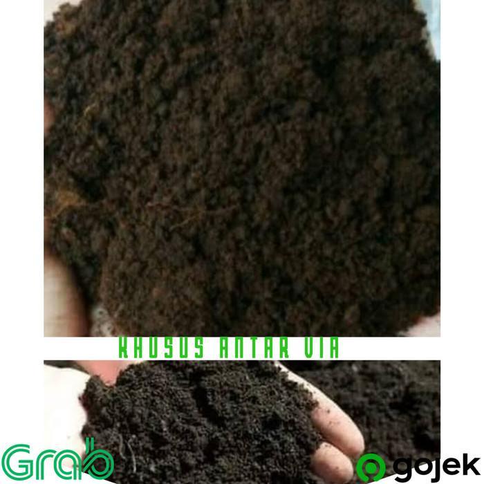 "New" Tanah hitam/tanah Lembang asli