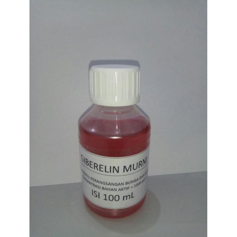 "New" HORMON TANAMAN GIBERELIN