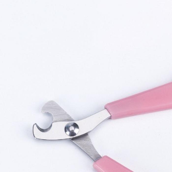 Gunting Kuku Kucing Anjing Kelinci Musang Gunting Kuku Anjing Gunting Kuku Kelinci Gunting Kuku