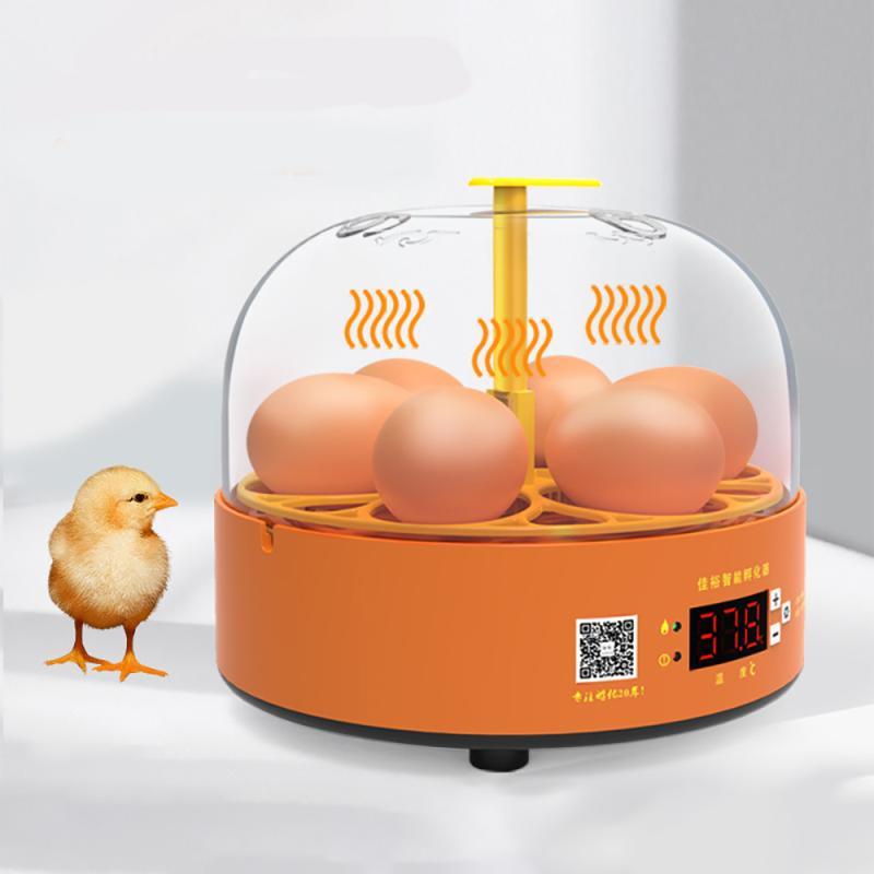 Mini 6 Egg Incubator Poultry Hatchery Machine Automatic Brooder  Manual Eggs Experimental Incubator 