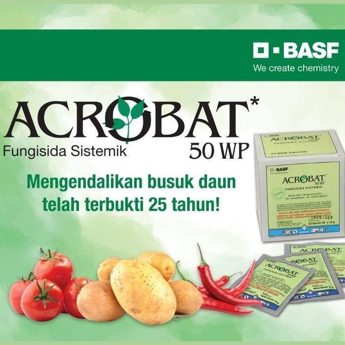 "New" Acrobat 50 WP (40gr) - Fungisida Sistemik Untuk Layu Fusarium Jamur