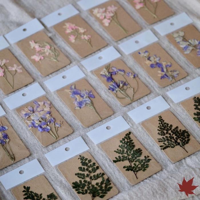 Bunga Kering Pressed, Preserved, Dried Flower and Foliage