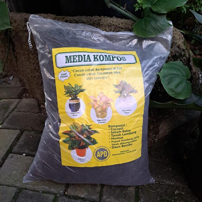 "New" Media Kompos Lengkap 1 Karung Aglonema Caladium alocasia - Kuning ORIGINAL