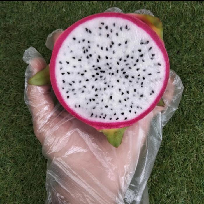 buah naga putih 1 kg
