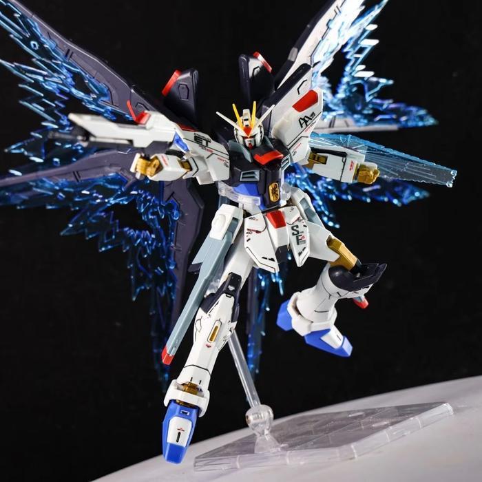 Ready Gaoke 1/144 Strike Freedom HGUC WOL Wing Of Light GK model