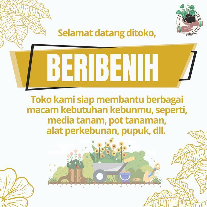 Semprotan Sprayer Siraman Tanaman Hias Kyokan 2L Pompa Siraman Burung