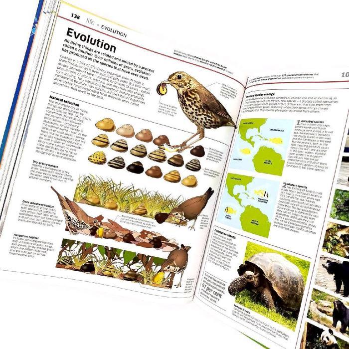 DK Knowledge Encyclopedia Science