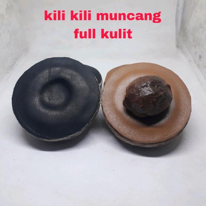 TERMURAH GROSIR kili kili muncang adu kili kili buat adu muncang full kulit asli READY STOCK