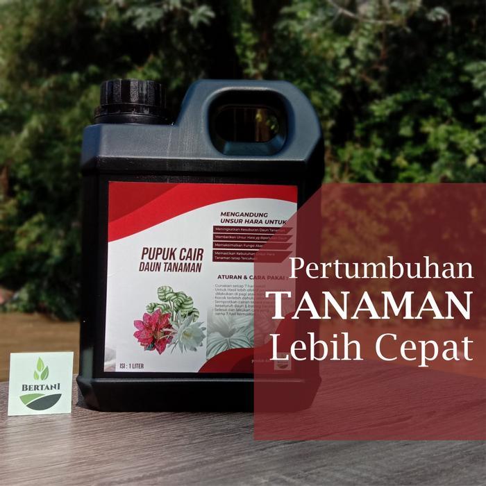 Pupuk Organik Cair Tanaman 1 Liter AGLONEMA MONSTERA Pupuk Tanaman Hias Komposisi Terlengkap untuk