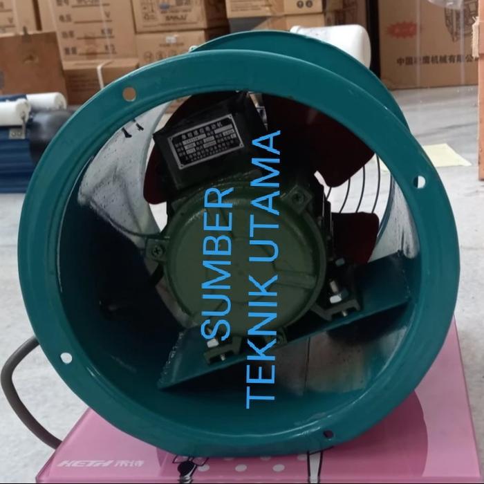 Exhust Fan 10In Kipas Angin Axial/Blower Axial Fan Industri Fan