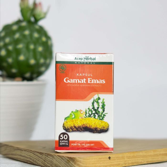 KAPSUL GAMAT EMAS - EKSTRAK TERIPANG EMAS