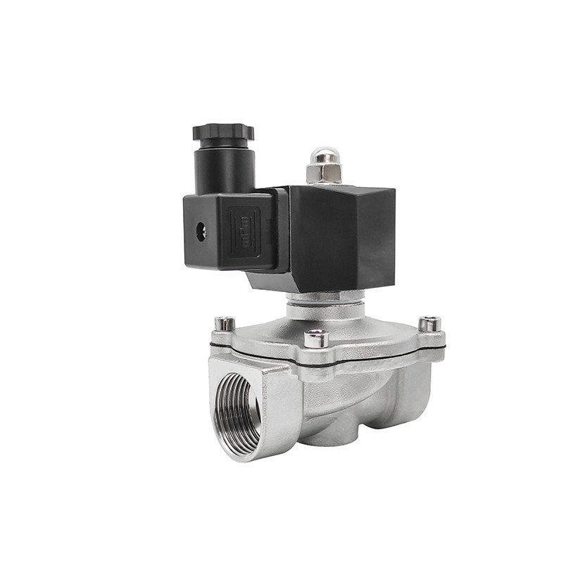 1" inch Stainless Steel Waterproof Solenoid Valve Normally Closed Solenoid Valve 24V 12V 220V 110V